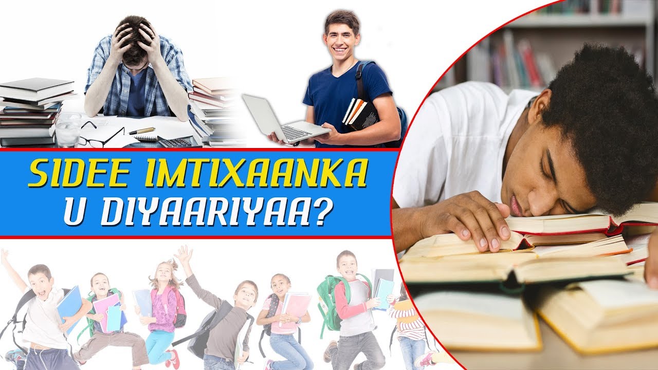 Sidee Loo Diyaariyaa Imtixaanaada Iyo Casharada Kale ee Leyliga ah ?