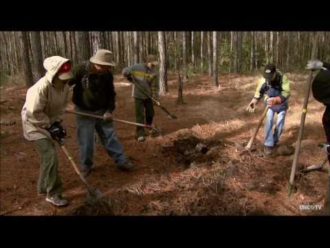 NC RISING | Hoke Community Forest | UNC-TV