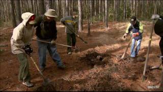 NC RISING | Hoke Community Forest | UNC-TV