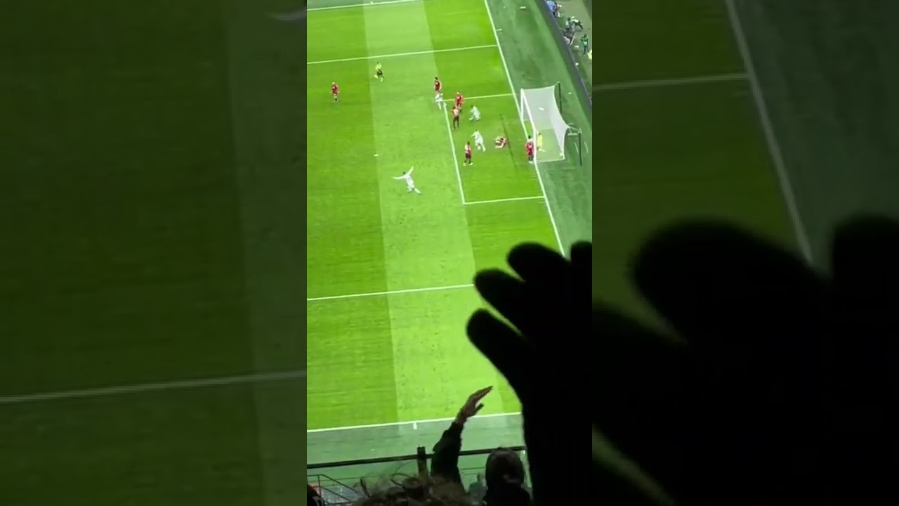 Milan Udinese GOL RIPRESO IN LIVE