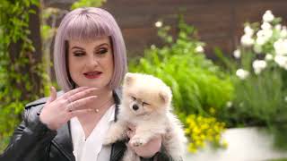 Kelly Osbourne Reads Letter To Her Dog Polly by A Letter To My  40 views 2 months ago 1 minute, 32 seconds