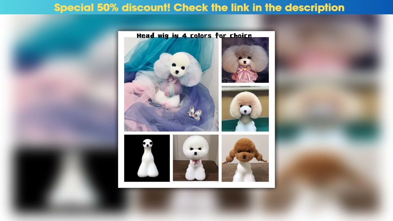 Deal Teddy bear grooming model dog kit 10Pcs teddy bear head wig Get 1 free Head Mannequin•••••••••