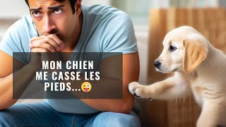 Mon chien me casse les pieds... by Les Chiens font leur Cinéma 1,856 views 1 month ago 2 minutes, 11 seconds