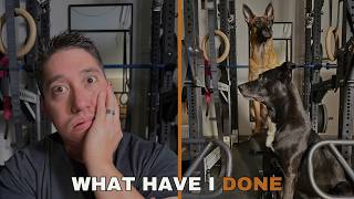 The Truth About Owning a Belgian Malinois (I’m Not a Trainer)