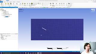 Ansys Flow Separation
