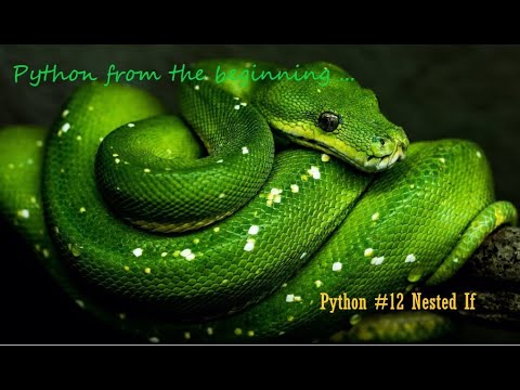 #PythonInTamil #12 | #NestedIfExample | #PythonProgrammingInTamil