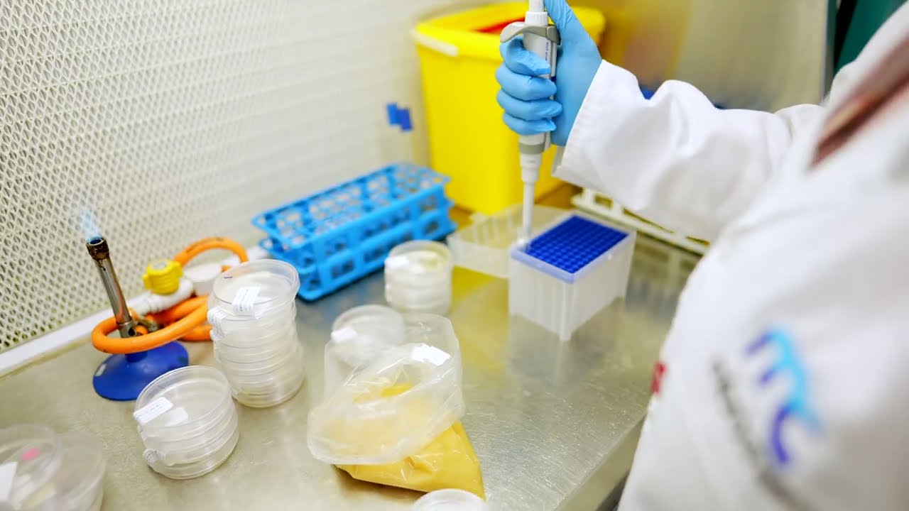 Microchem Lab Services Johannesburg YouTube