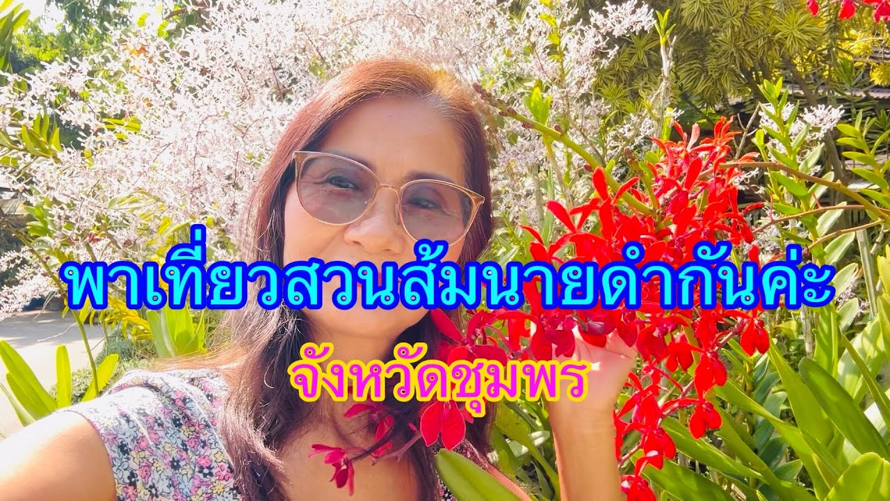 ep387พาแวะเที่ยวสวนส้มนายดำ จังหวัดชุมพรกันค่ะ