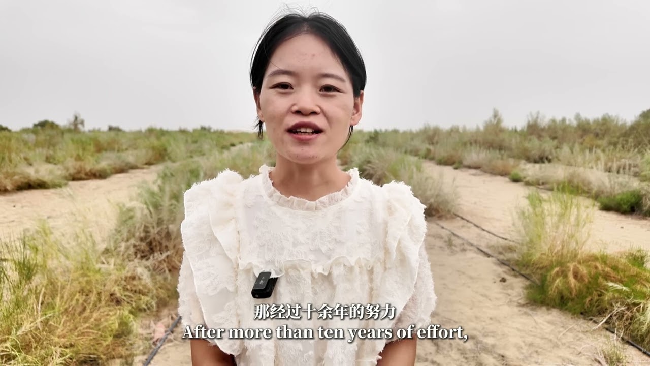 Huge ecological transformation of the Taklimakan Desert in Maigaiti, Xinjiang