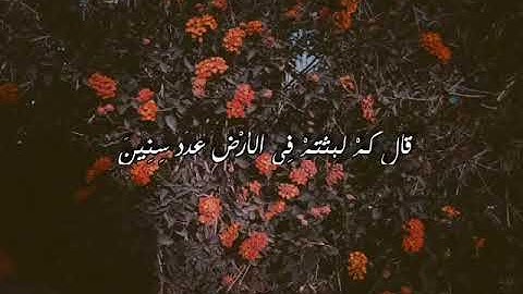 ماشاء الله الصوت حلو  القران الكريم