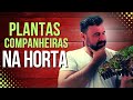 O QUE PLANTAR JUNTO NA HORTA