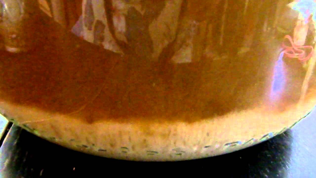 Wheat Beer Fermenting Day 1 YouTube
