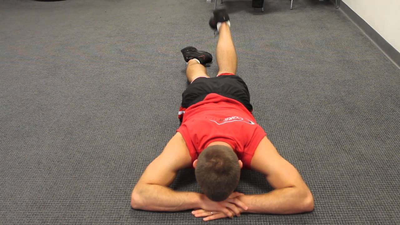 exercise 14.1 class 11 Scorpion