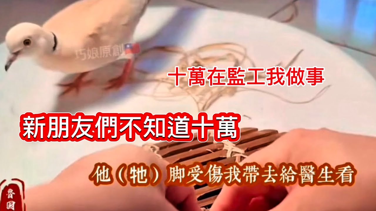 斑鳩十萬影片回顧_大家說想十萬了 我整理了碎片給大家 縮圖