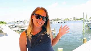 The Tourist Who Stayed At The Flora-Bama