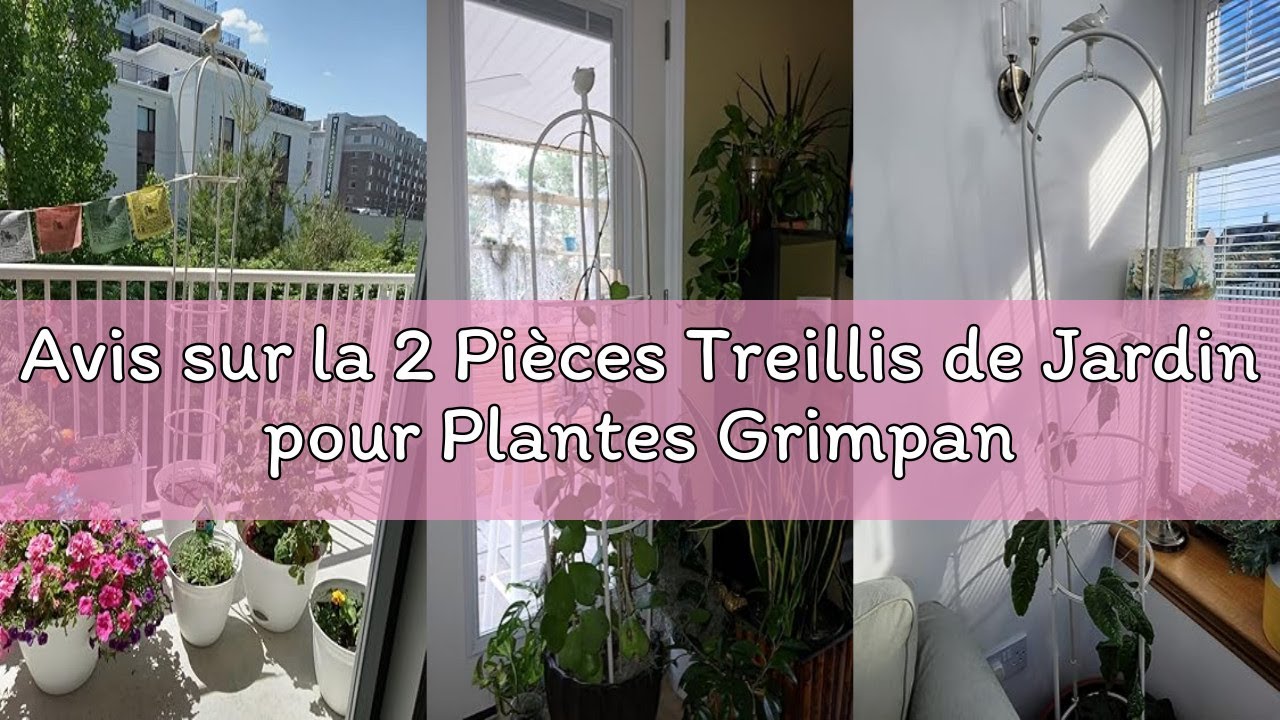Lot de 4 treillis de jardin pour plantes grimpantes, plantes grimpantes