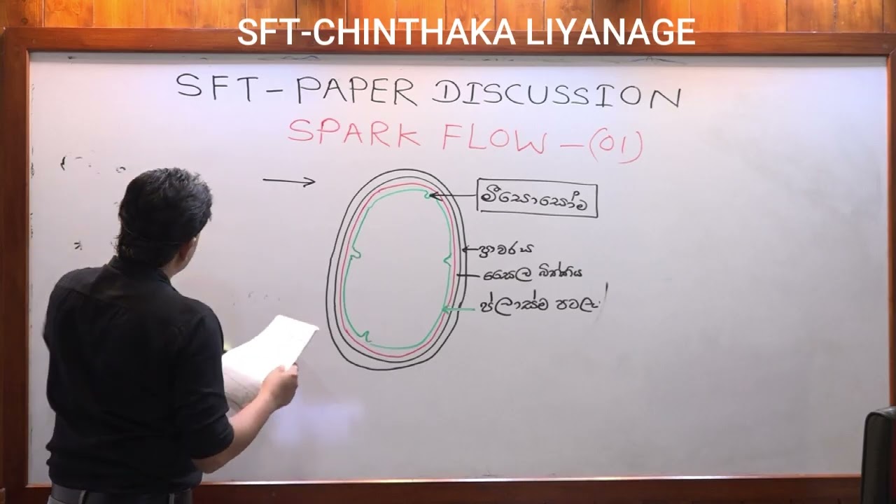 SPARK FLOW 01 08TH FEBRUARY 1