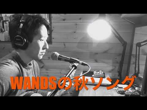 【寂しさは秋の色/WANDS】一発撮りカバー🍁