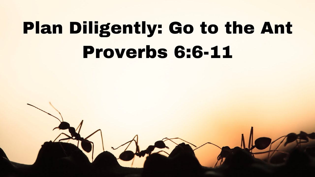 "Plan Diligently: Go to the Ant" Proverbs 6:6-11 - YouTube