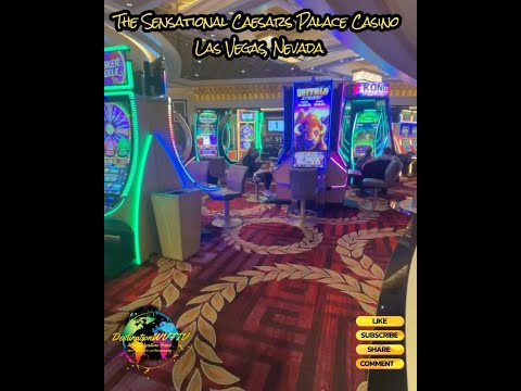 LARGEST HAND OF BLACKJACK EVER?! #blackjack #casino #vegas