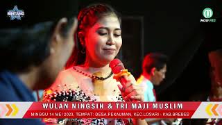 Suratan  Dewi Diva  Bintang Entertainment  Pekauman Losari