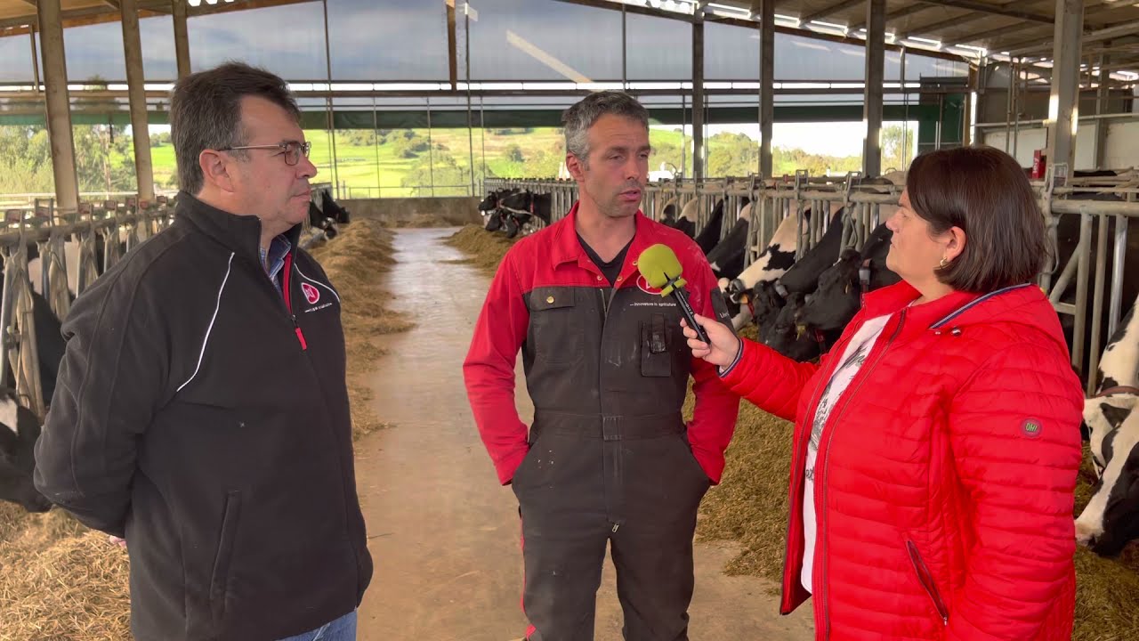SAT Ceceño (Cantabria), una granja de producción láctea de referencia / El Campo de Asturias