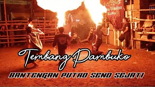 Pambuko  Bantengan Putro Seno Sejati  Dj Andika 