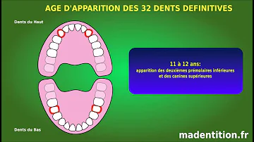 Quelles sont les dents définitives