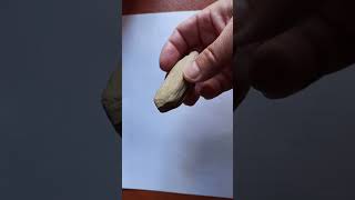 흥미롭고 아름다운 화석 나무 有趣美丽的木化石 Interesting beautiful petrified wood 興味深い美しい化石木 Интересное красивое hermosa