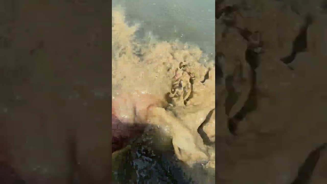 what i found in mud ? clean it with water | part 17 