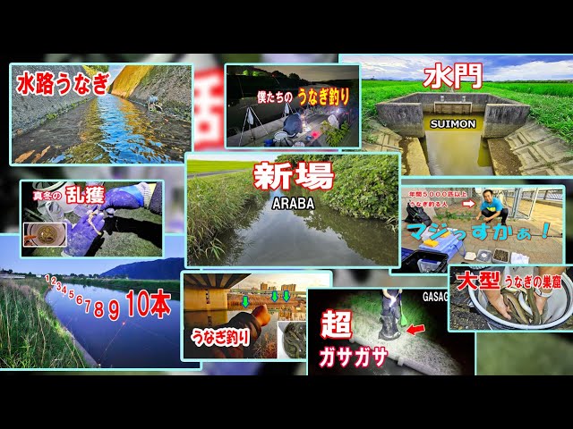 見逃すな！2024年うなぎ釣り総集編 - YouTube