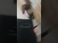 S10 Extreme stabilizacion