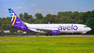 RARE Avelo 737-700 at Tweed✈️ | 🇺🇸Tweed New-Haven Planespotting✈️
