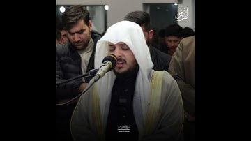 سورة الانبياء هيثم الدخين في كردستان العراق #اكسبلور #القرآن_الكريم