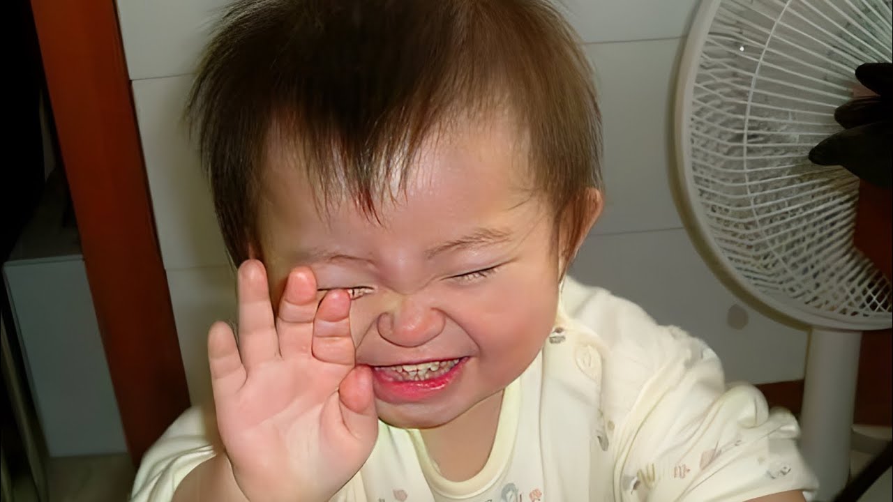 funny baby videos laughing funniest baby laugh baby laughing video