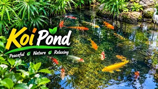 💧 Koi Fish Swimming with Gentle Water Ripples screenshot 2