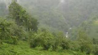 BRS,arhavi,laz,tulum,horon,artvin,brsbasnamli