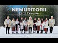 NEMURITORII &amp; Co . Lerui Doamne (oficial video)