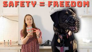 Muzzle Training 101