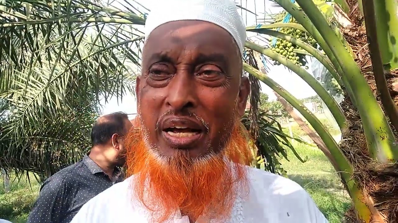 #আরবীয় খেজুরের (আজুয়া, বারহি ইত্যাদি জাত) সফল চাষী ও চারা বিক্রেতা নাটরের নবী ভাই#