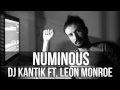 Dj Kantik &amp; Leon Monroe - Numinous (Original Product) 2014