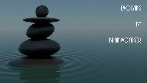 Brainvoyager - Evolving