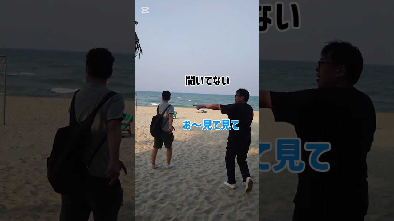 【テツandトモ】1泊だけのベトナム・ダナン旅Part2!海が見えた~!好き勝手に話し出すおじさん旅!#テツandトモ #テツトモ #ベトナムダナン#旅日記#Shorts
