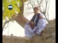 Gysh Bramsh O Paadynkan Moslem Hammal Gysh Bramsh O Paadynkan Moslem Hammal