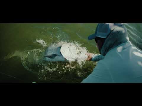 Tarpon: Bow to the Silver King