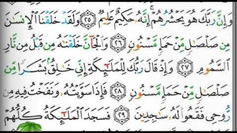 مصحف التجويد صفحة 263 إبراهيم الأخضر 🕋🕋