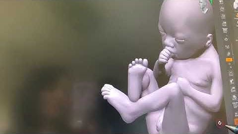 Behind the Scenes: Fearfully and Wonderfully Made Exhibit