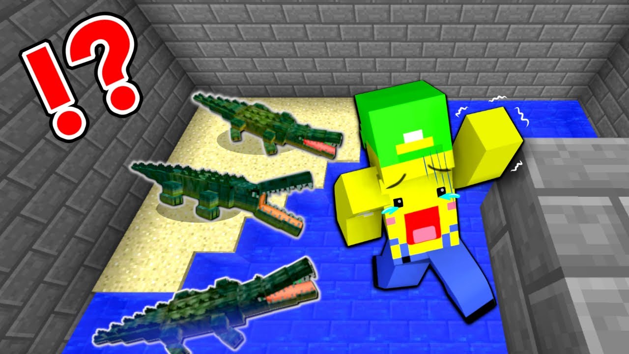 If you fall, you'll become food for the crocodiles!? 😱] Rescue a