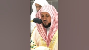 حافظ مكيلي يتلو القرآن بصوت جميل #تلاوات #kaba #makkah #عبد_الرحمن_السديس