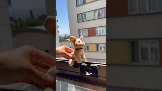 Yaramaz köpek pencerenin önüne çıkmış🥲 #aboneolmayiunutmayin #keşfetbeniöneçıkar #kesfeteyyiz #fyp